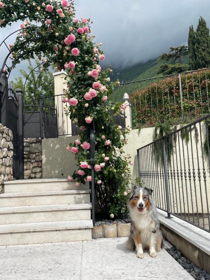 Corte Caiar Bed&Breakfast Caprino Veronese Luaran gambar
